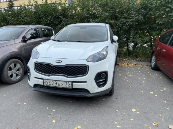 Sportage QLE